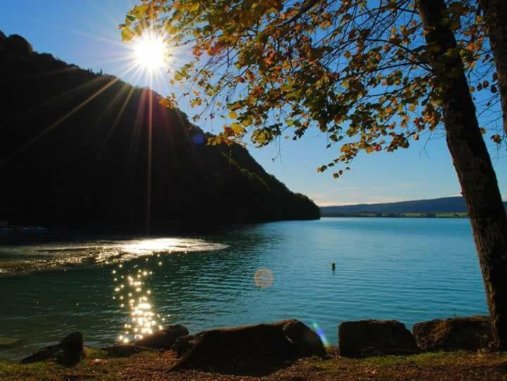 Maison/Gite Familial Dans Le Jura A 200M Du Lac Avec Piscine Privee Marigny  Bagian luar foto