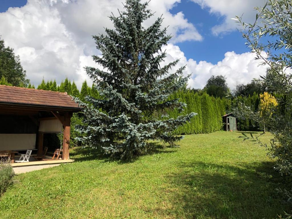 Maison/Gite Familial Dans Le Jura A 200M Du Lac Avec Piscine Privee Marigny  Bagian luar foto