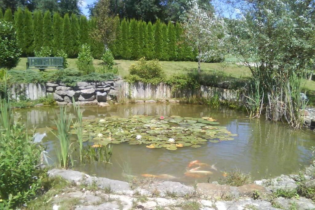 Maison/Gite Familial Dans Le Jura A 200M Du Lac Avec Piscine Privee Marigny  Bagian luar foto