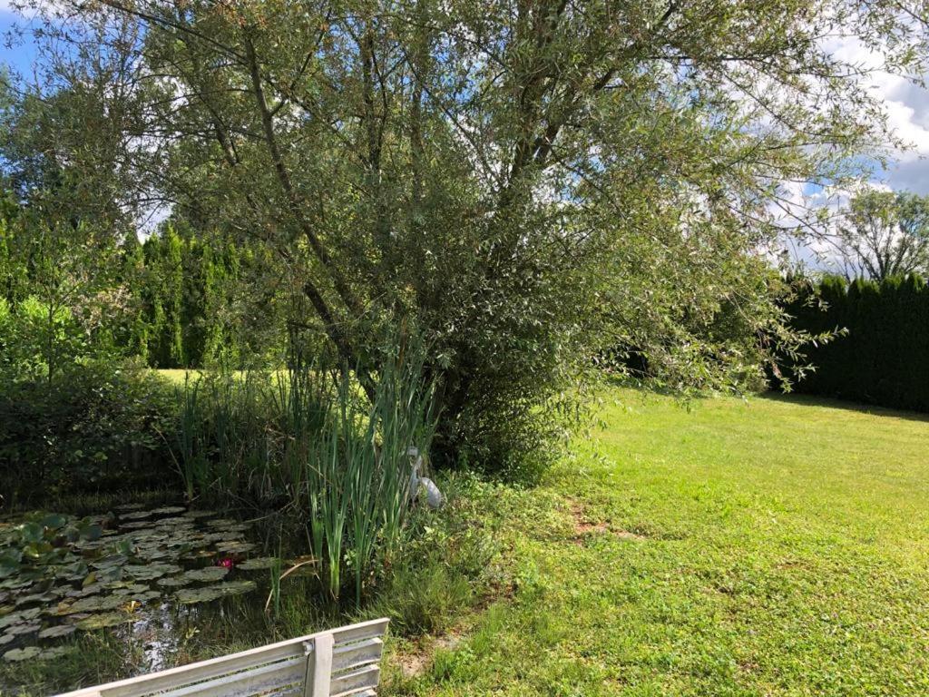 Maison/Gite Familial Dans Le Jura A 200M Du Lac Avec Piscine Privee Marigny  Bagian luar foto