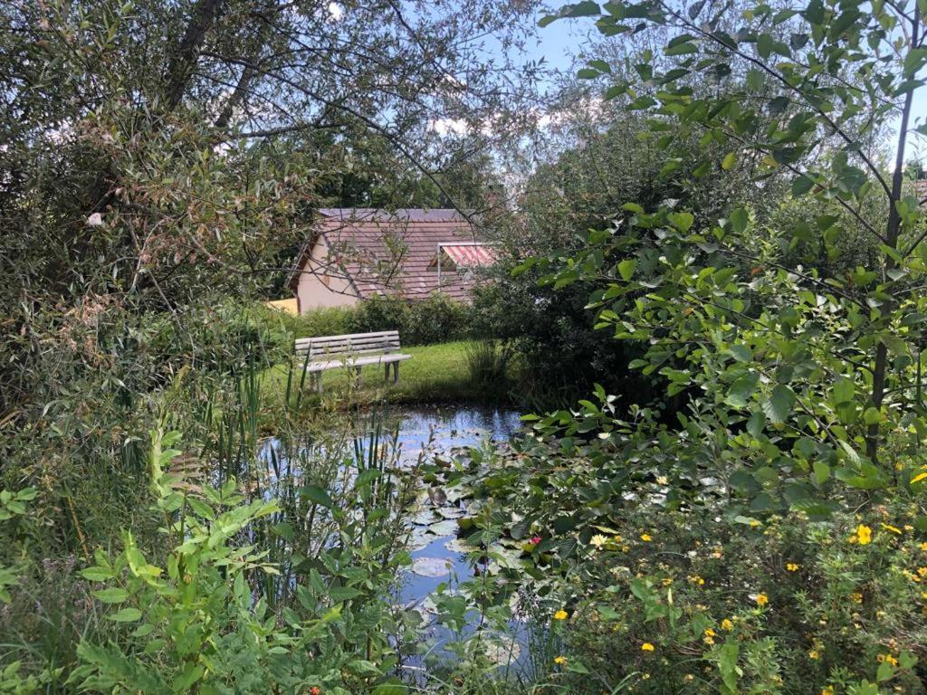 Maison/Gite Familial Dans Le Jura A 200M Du Lac Avec Piscine Privee Marigny  Bagian luar foto